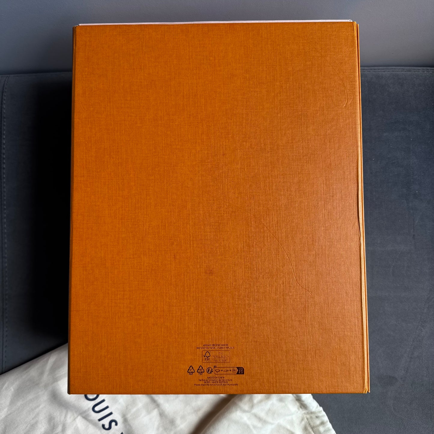 Louis Vuitton Maxi Trainer Sneaker White/Grey