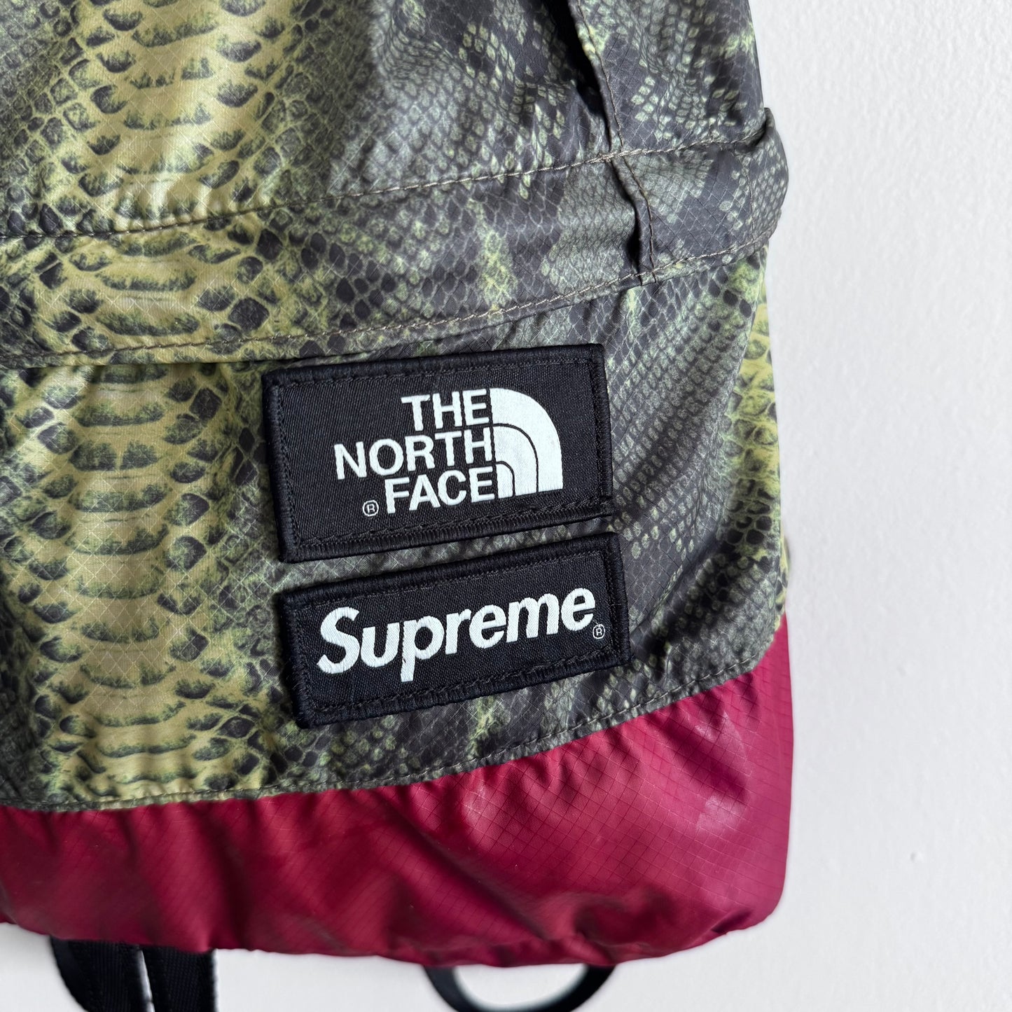 Supreme The North Face Snakeskin Backpack