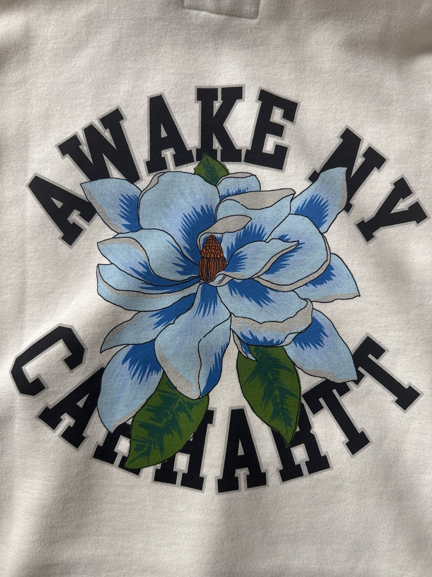Awake NY x Carhartt WIP Printed Hoodie “Wax”
