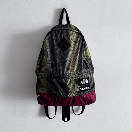Supreme The North Face Snakeskin Backpack
