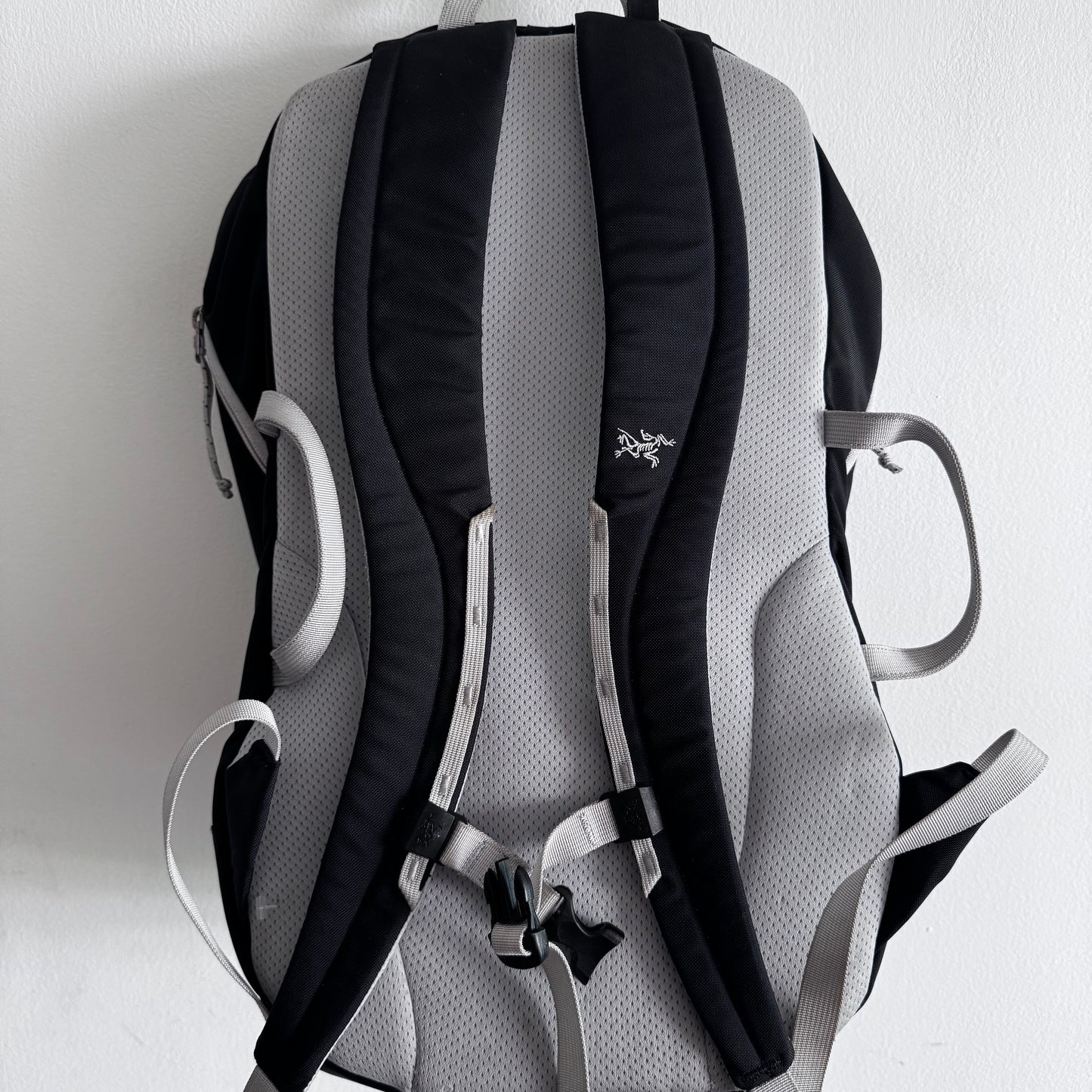 2000s Arc’teryx Sebring 25 Backpack