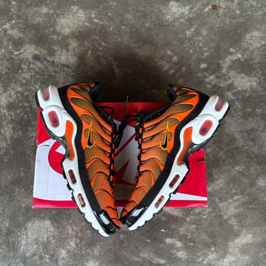 Nike Air Max Plus Orange