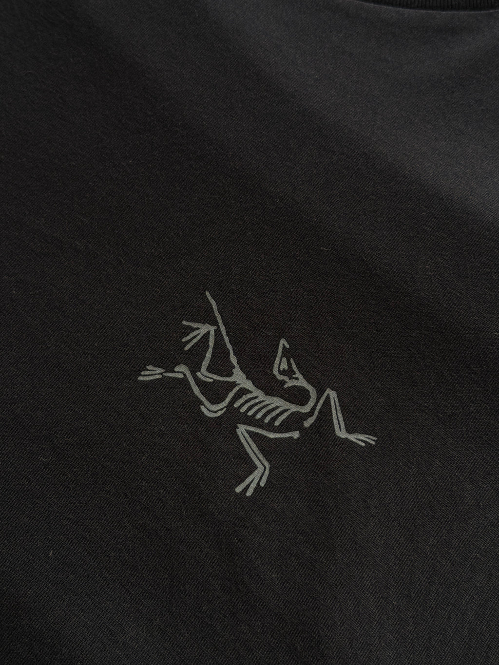 Arc’teryx Kragg SL Tee Black (M)
