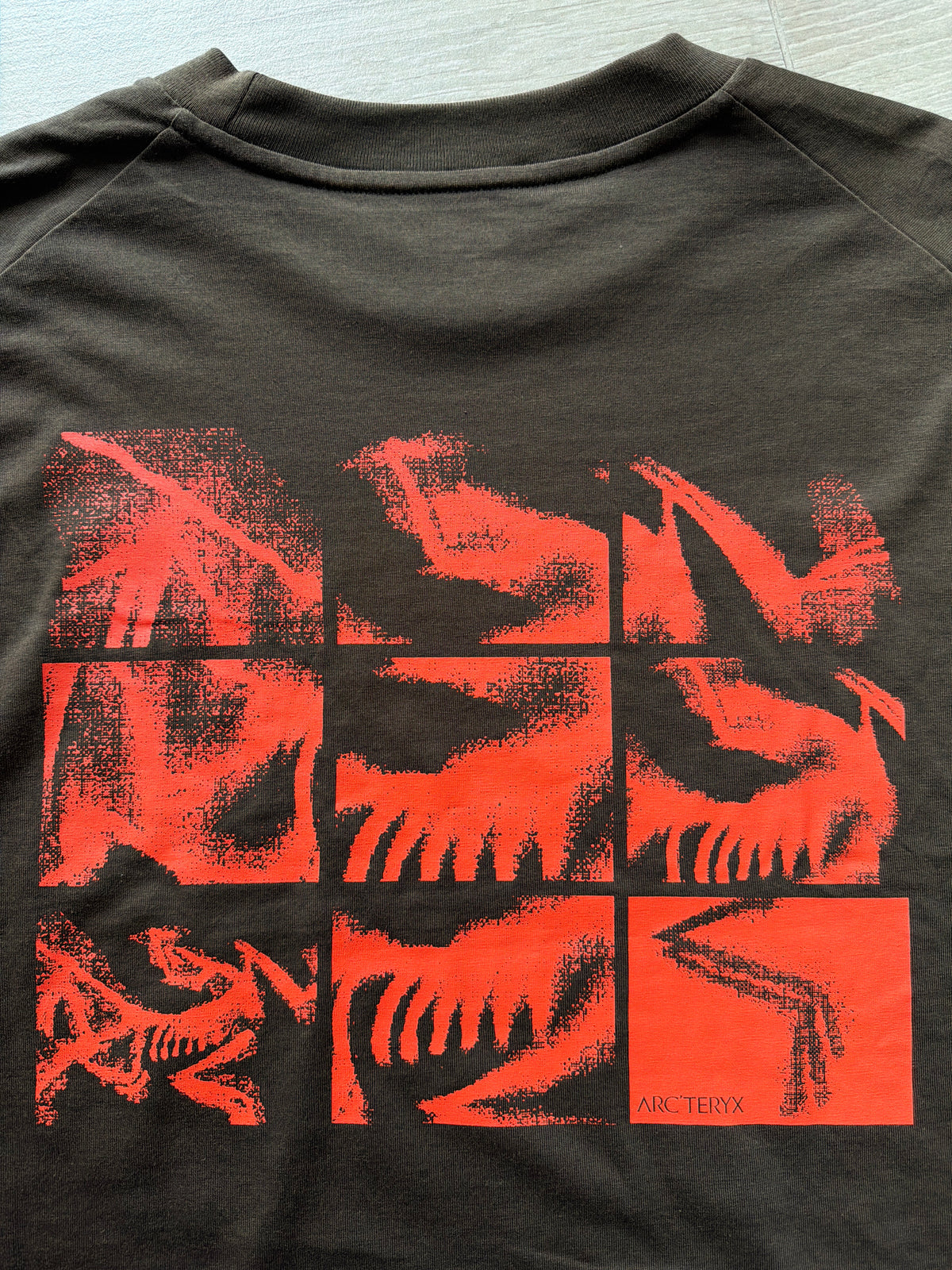 Arc'teryx Kragg SL Cotton Bird Tile Long Sleeve T Shirt Brown (M)