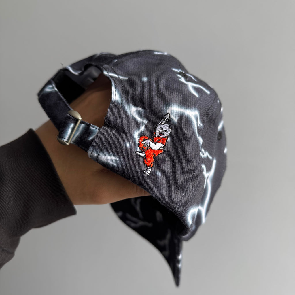 RIPNDIP Super Sanerm 6 Panel Curved Hat