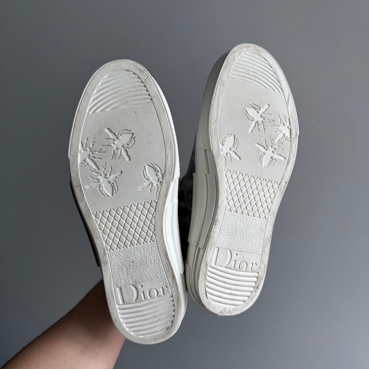 Dior B23 High-Top Sneaker