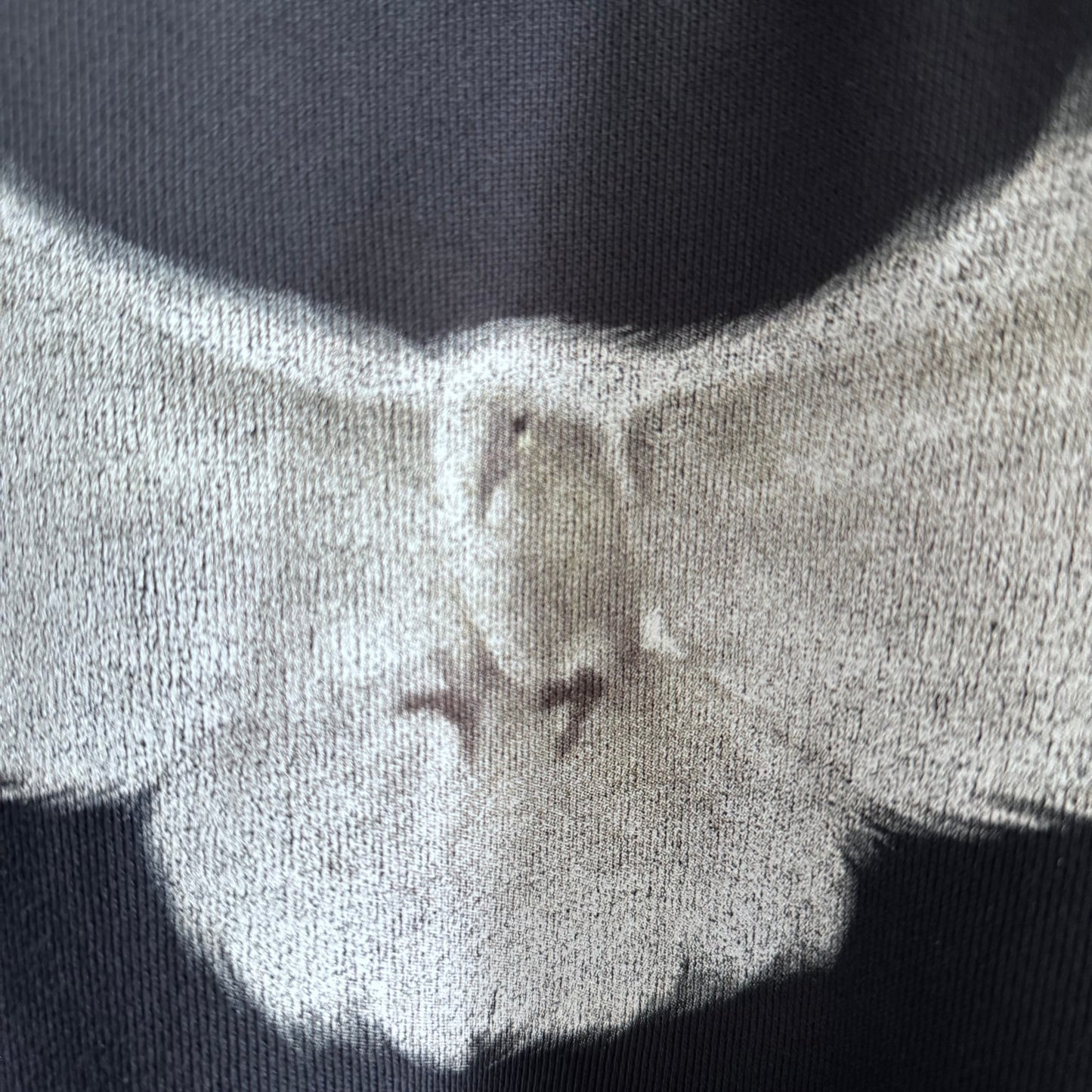 Yeezy Gap Engineered By Balenciaga Dove Hoodie Black