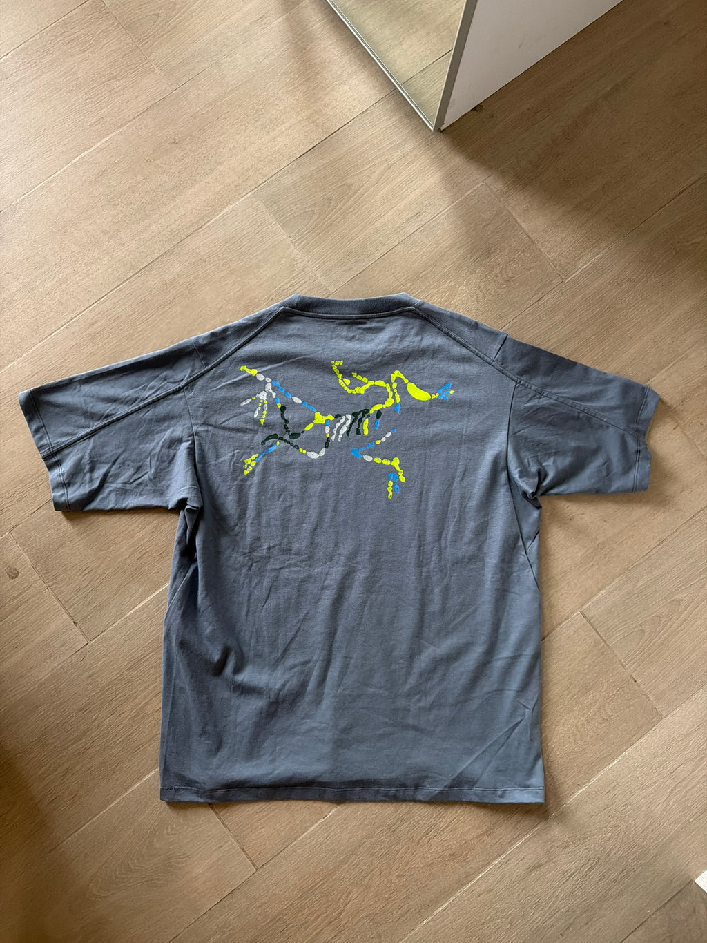 Arc'teryx Kragg SL Cotton Bird Word T-Shirt Grey (L)