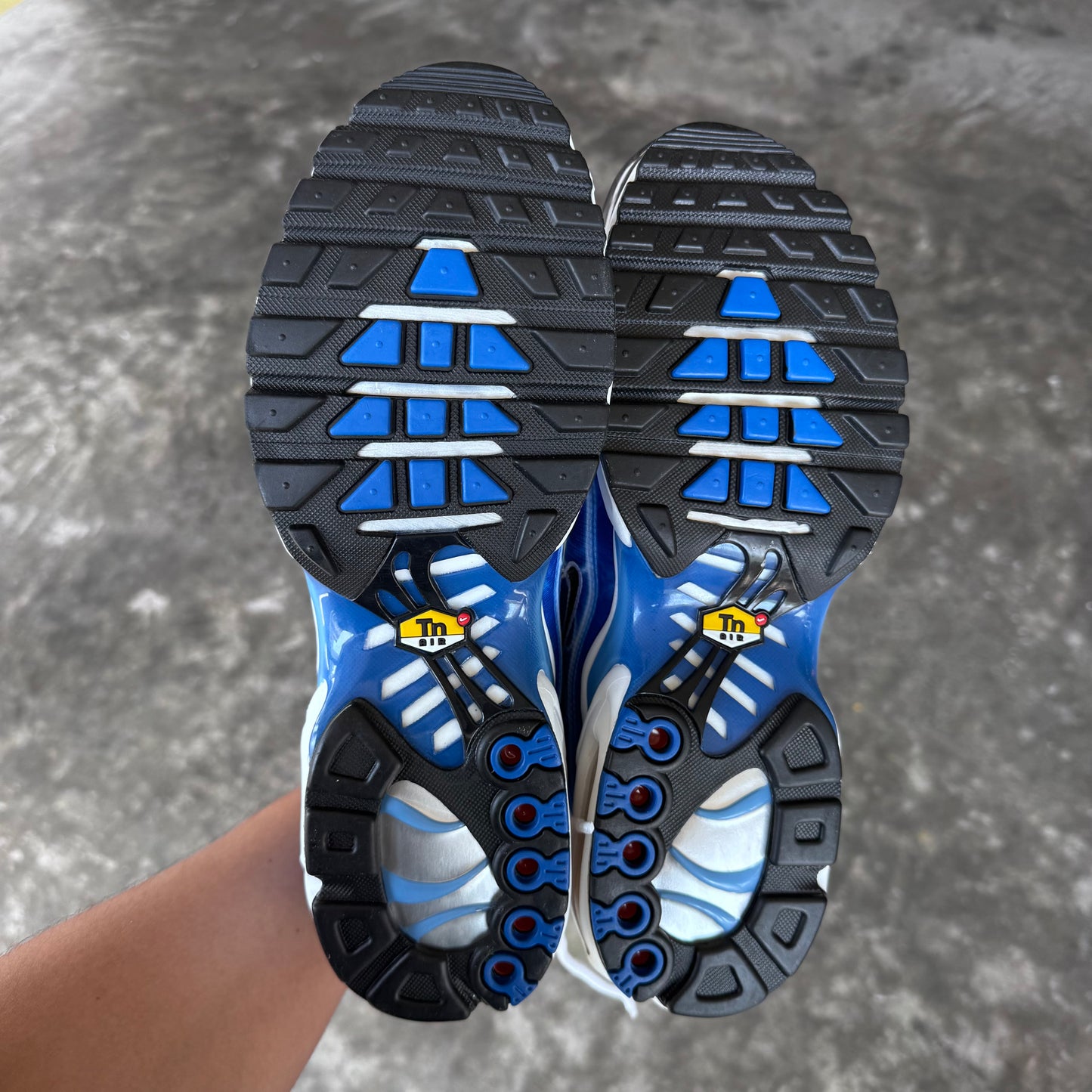 Nike Air Max Plus Light Photography Old Royal