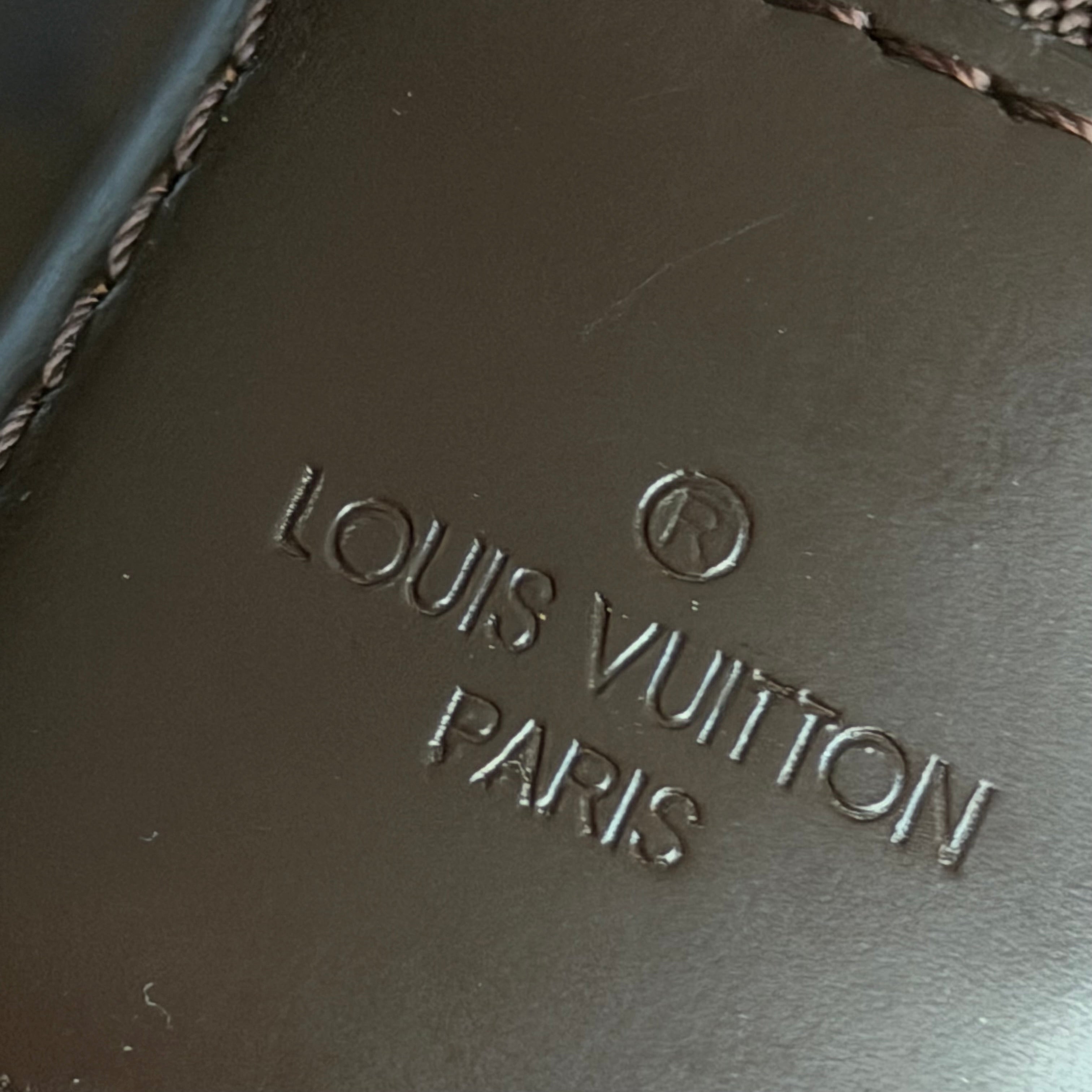 Louis Vuitton Damier Ebene Bastille Messenger Bag